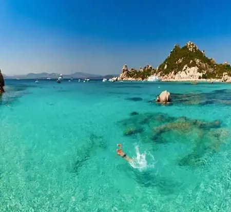 Arancio * La Maddalena (Sassari)