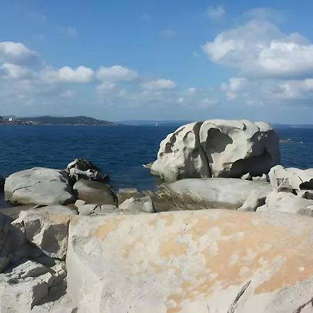 Arancio La Maddalena (Sassari)